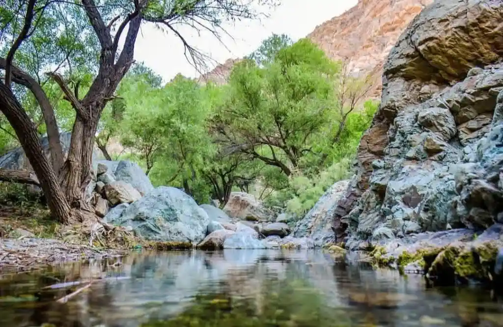 جاهای دیدنی روستای واریش- چشمه روستای واریش