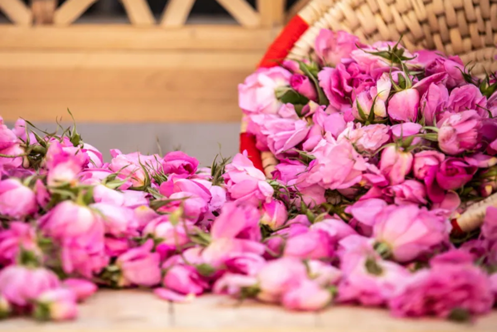 جاهای دیدنی کاشان در بهار؛ جاهای دیدنی اطراف کاشان تا سوغاتی