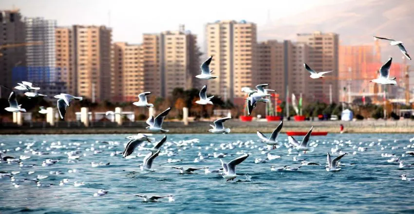 پارک‌های دیدنی غرب تهران برای شب‌گردی- پارک چیتگر