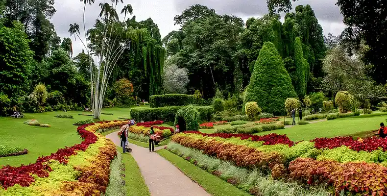 6. جاهای دیدنی اطراف چابهار برای تابستان _ باغ‌گیاه‌شناسی تیس
