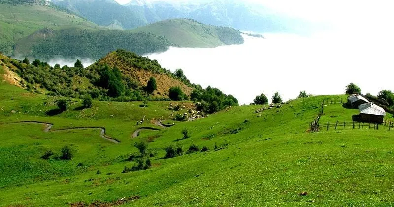 8. جنگل‌ها و مسیرهای پیاده روی گیلان _ جنگل هلودشت