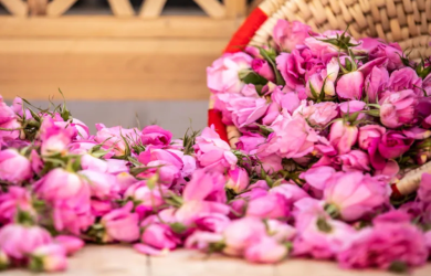 جاهای دیدنی کاشان در بهار؛ جاهای دیدنی اطراف کاشان تا سوغاتی