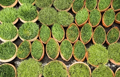 عید کجا بریم هوا خوب باشد؟ بهترین مکان ها و شهرها